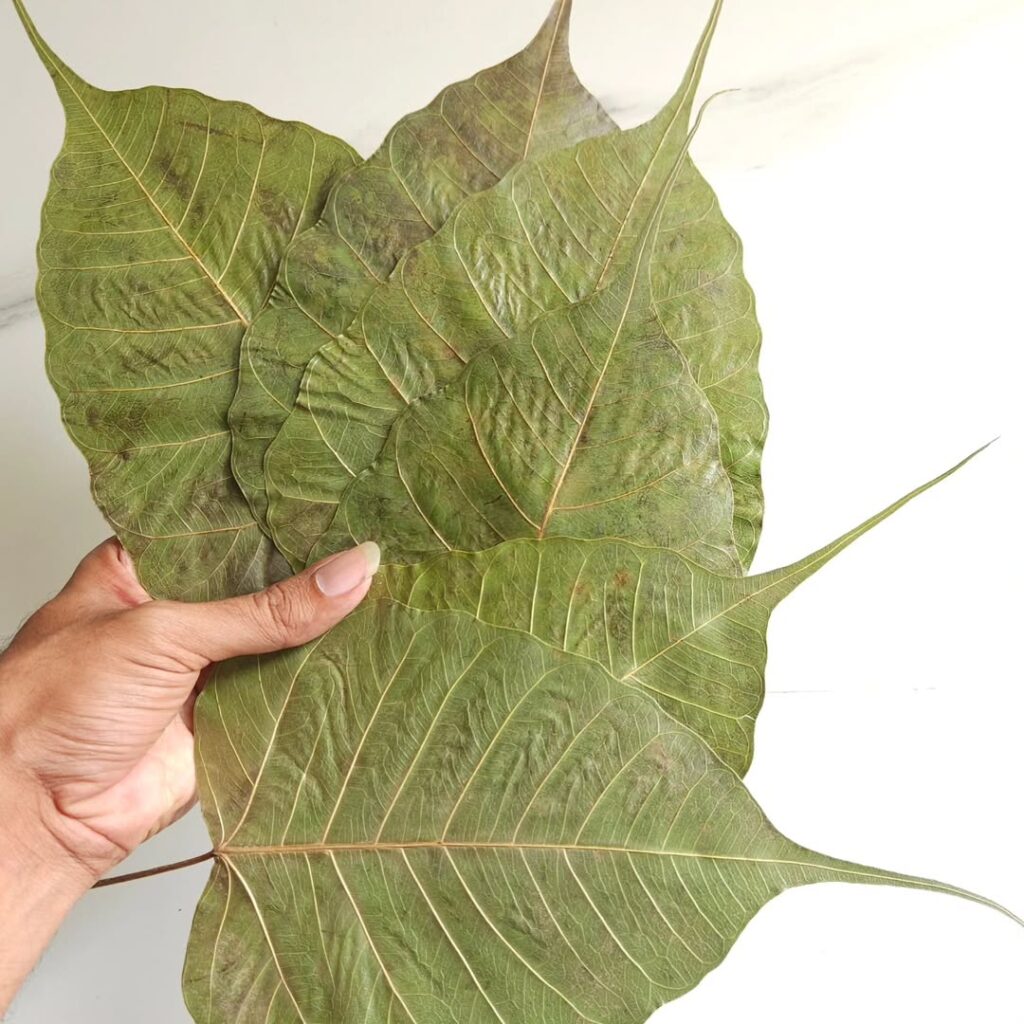 CUSTOM LEAF ART